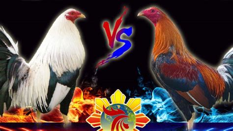 eload418 live sabong
